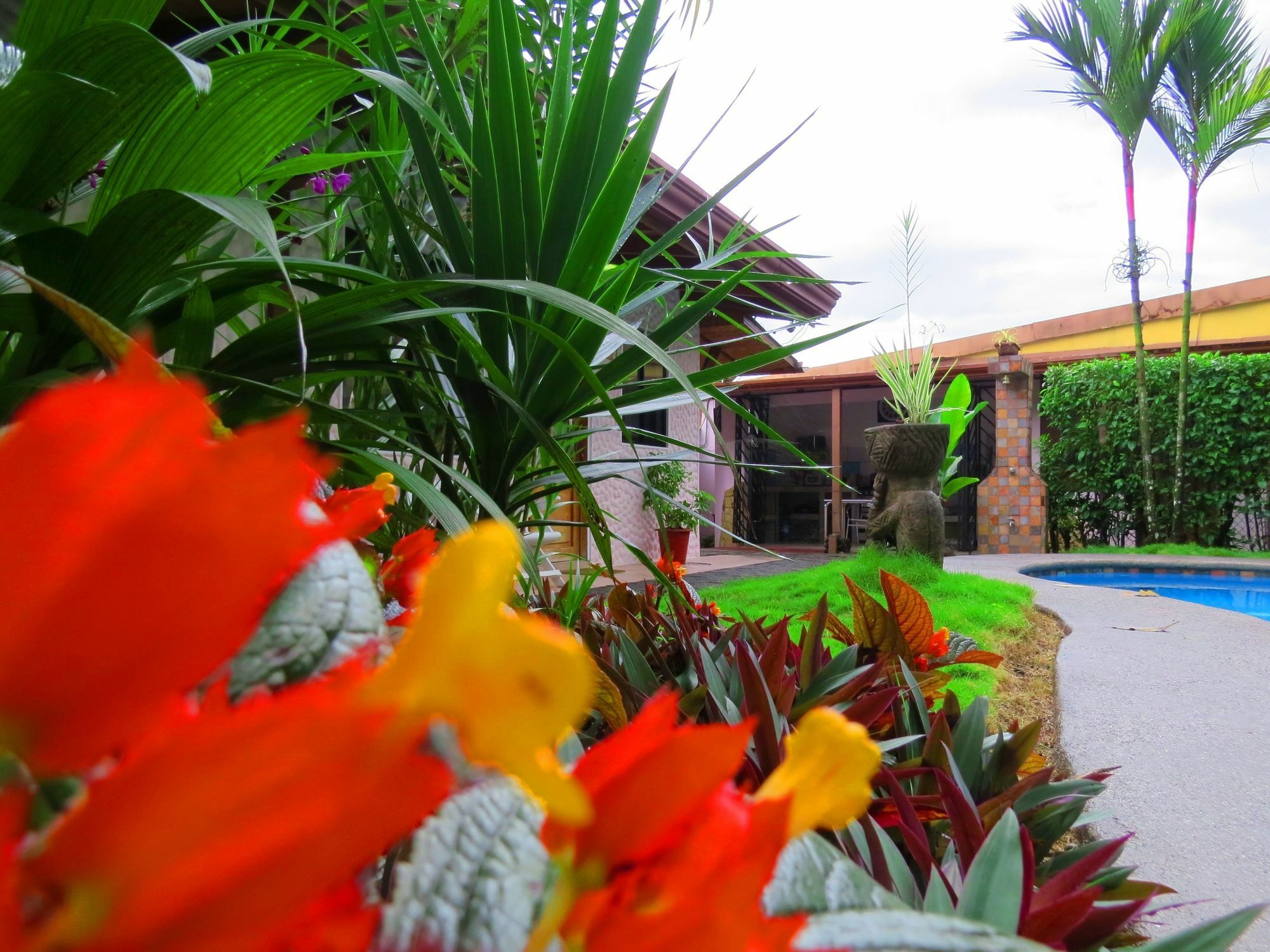 Hotel Vagabondo La Fortuna Bagian luar foto